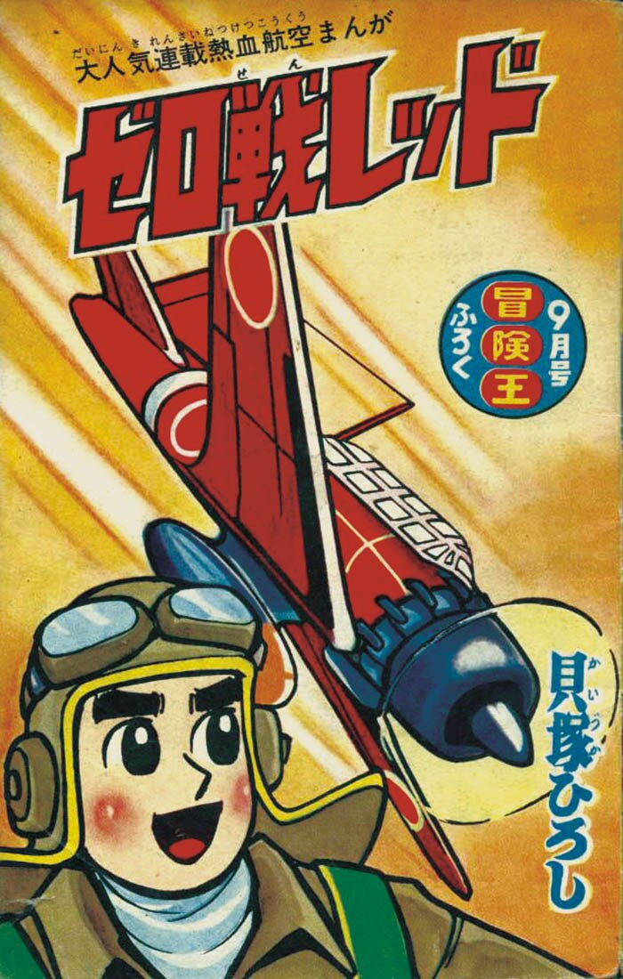 Biography | Hiroshi Kaizuka