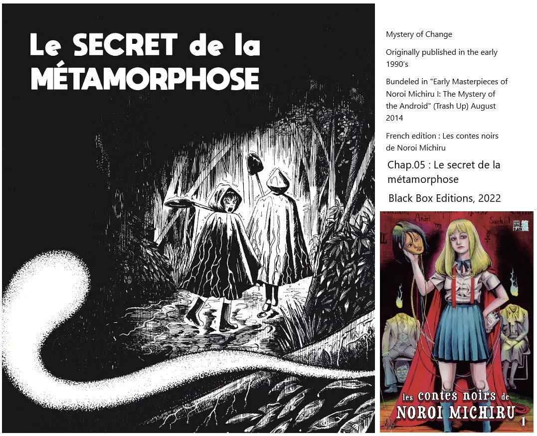 Mystery of Change | Le SECRET de la Métamorphose | 変化の神秘 Henka no shinpi | Michiru Noroi pg 14