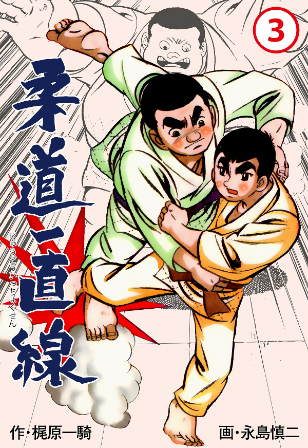 Biography | Shinji Nagashima (1937-2005)