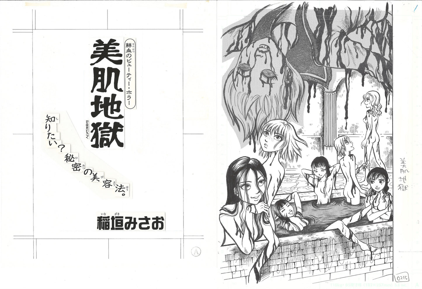 Beautiful Skin Hell | cover | Misao Inagaki | Fresh Blood Beauty Horror