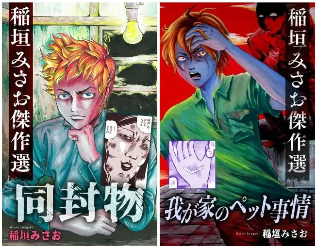 Biography | Misao Inagaki